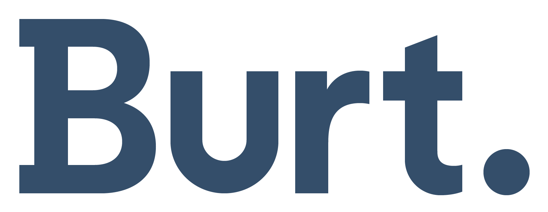 Burt Intelligence Logo